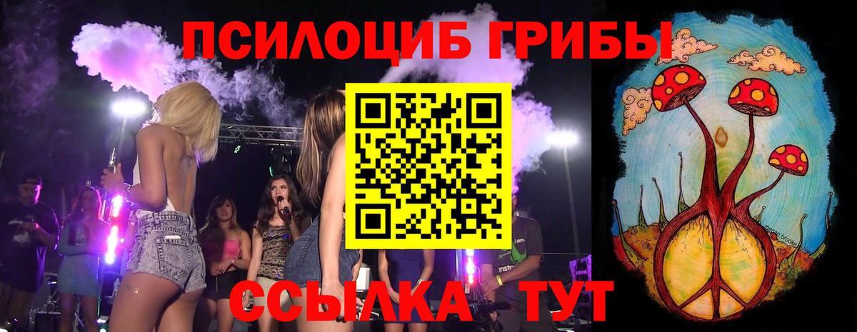 Белогорск  Псилоцибиновые грибы Psilocybine cubensis  Вход с VPN 
